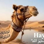 The Word Hayawan Meaning in Arabic With Examples