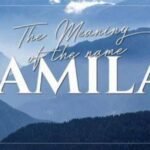 The Word Jamila Meaning in Arabic With Examples ; Meaning Vibes