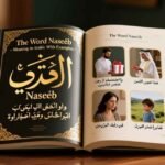 The Word Naseeb Meaning in Arabic With Examples ; Meaning Vibes
