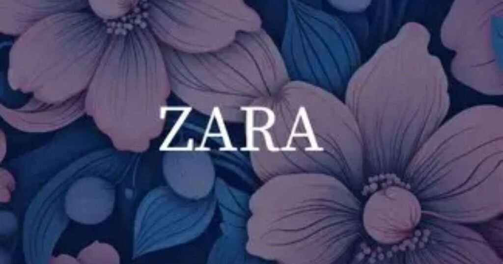 The Word Zara Meaning in Arabic With Examples ;Meaning Vibes