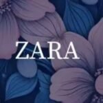 The Word Zara Meaning in Arabic With Examples ;Meaning Vibes