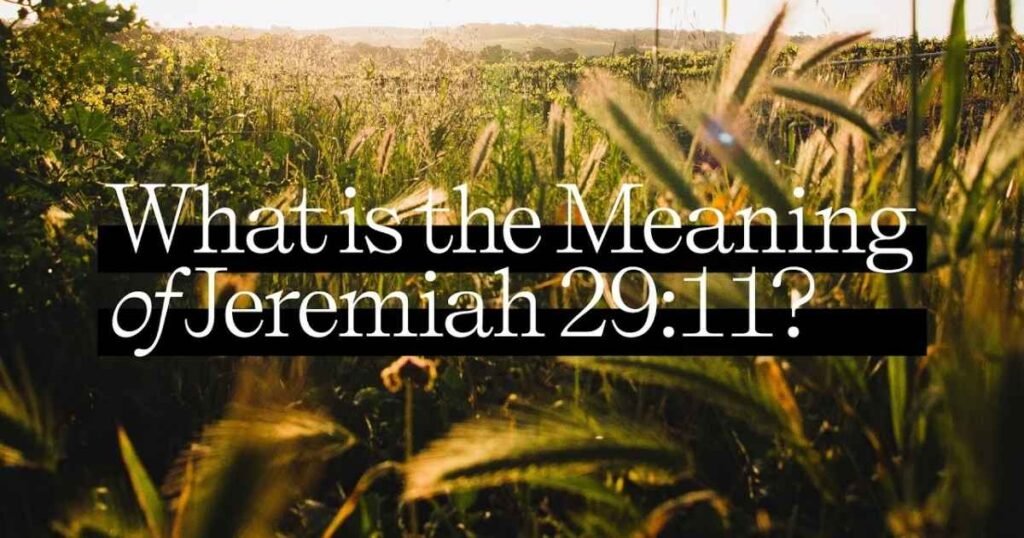 Jeremiah 29 Verse 11 Meaning God’s Plan in Hard Times