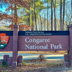 Best Time To Visit Congaree National Park