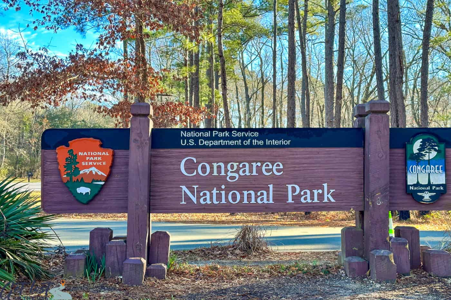 Best Time To Visit Congaree National Park