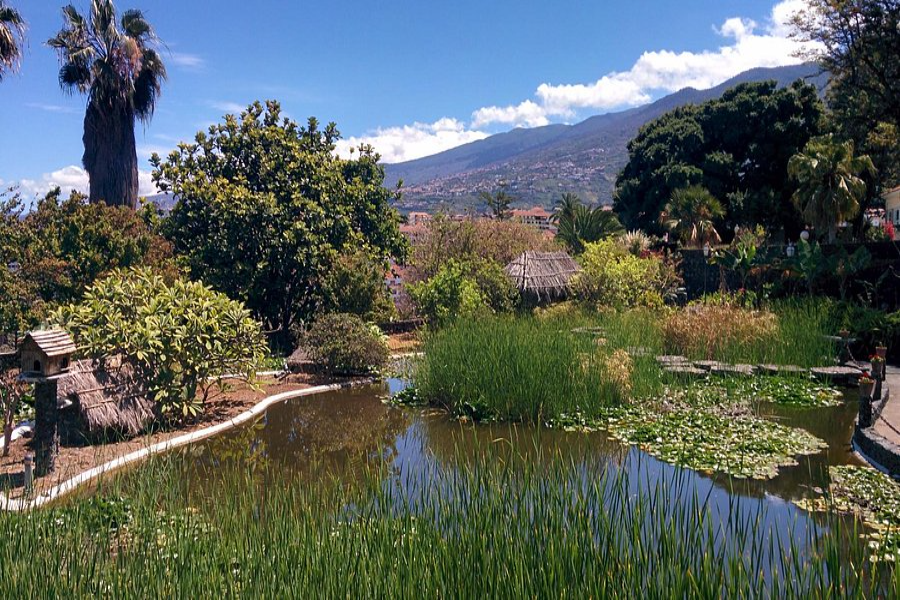 Risco Park