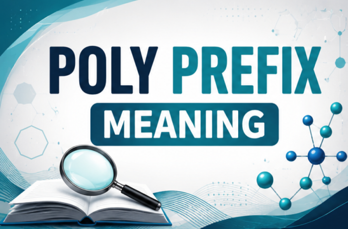 Poly Prefix Meaning