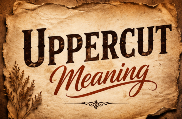 Uppercut Meaning
