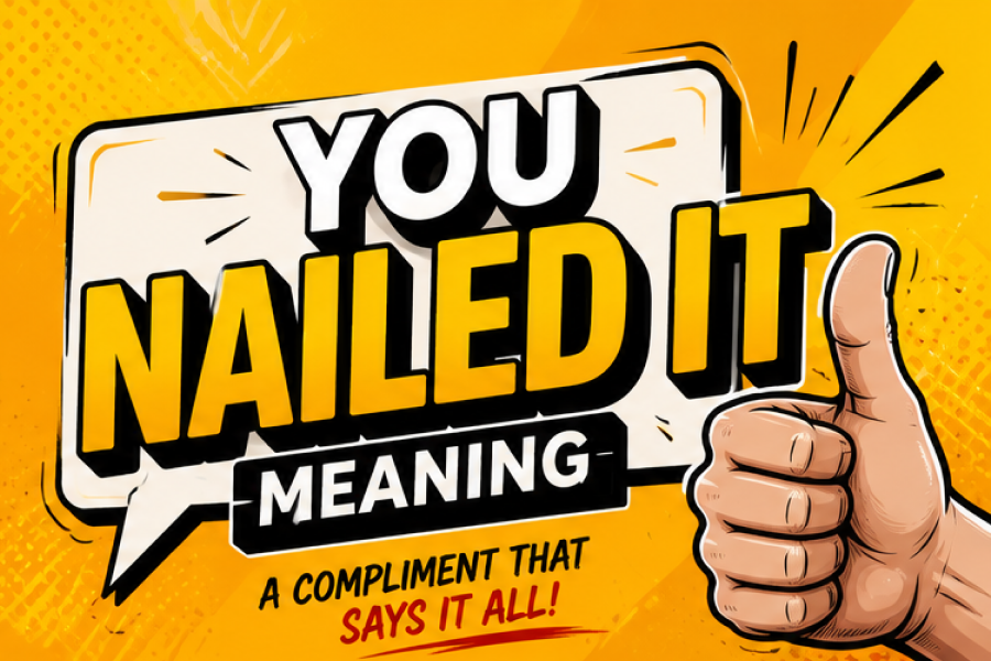 Nailed It Meaning